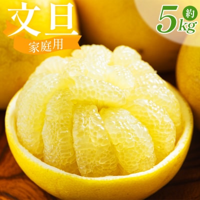 土佐文旦5kg家庭用L〜2Lサイズ混合 nm-0008