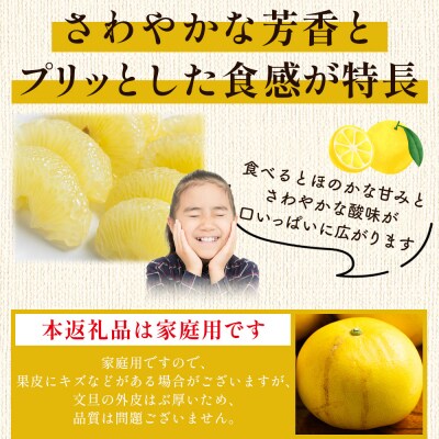 土佐文旦5kg家庭用L〜2Lサイズ混合 nm-0008