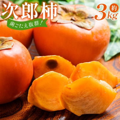 【2026年10月下旬より順次配送】次郎柿 3kg nm-0003