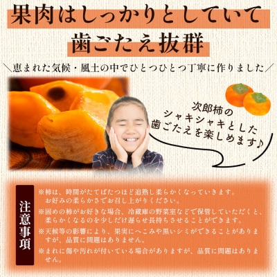 【2026年10月下旬より順次配送】次郎柿 3kg nm-0003