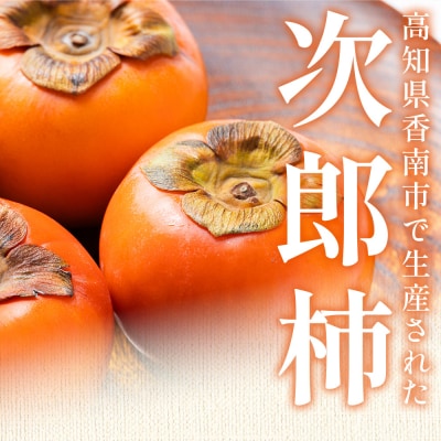 【2026年10月下旬より順次配送】次郎柿 3kg nm-0003