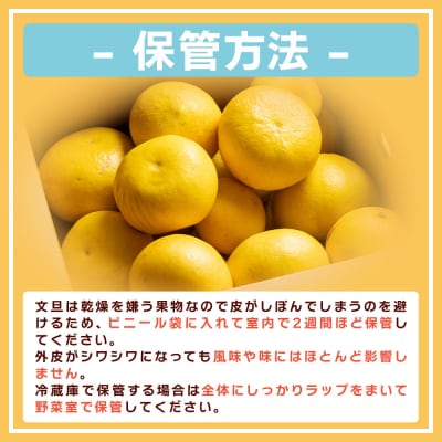 土佐文旦 家庭用 3kg 大小混合(サイズ:L～3L) yk-0071