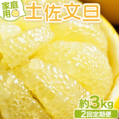 【2回定期便】土佐文旦 家庭用 3kg 大小混合(サイズ:L～3L) Wyk-0072