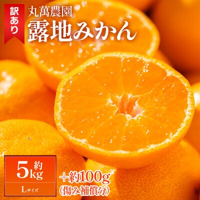 露地みかん(Lサイズ) 5kg 家庭用 丸萬農園 mn-0015