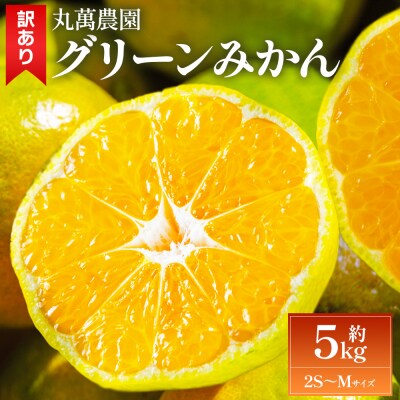 グリーンみかん(2S～Mサイズ) 5kg 家庭用 丸萬農園 mn-0016