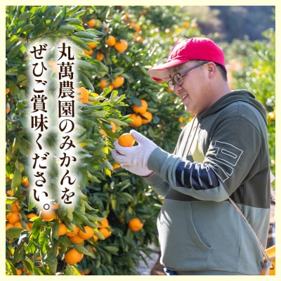 グリーンみかん(2S～Mサイズ) 5kg 家庭用 丸萬農園 mn-0016