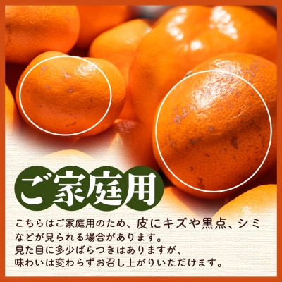 【先行受付】みかん 訳あり 2S-M 3kg 傷み補償分 +100g om-0001