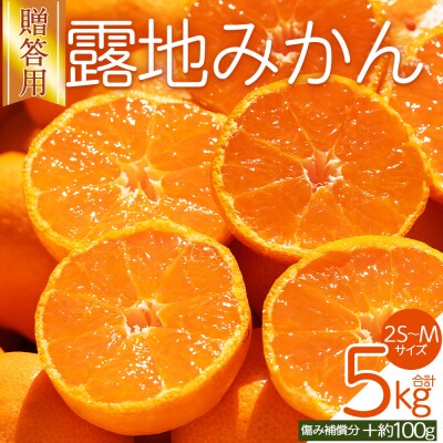 【先行受付】みかん 贈答用 2S-M 5kg 傷み補償分 +100g 人気 小玉 om-0004