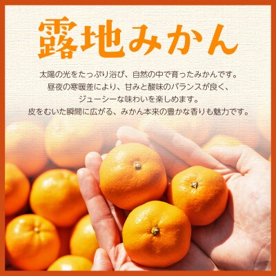 【先行受付】みかん 贈答用 2S-M 5kg 傷み補償分 +100g 人気 小玉 om-0004