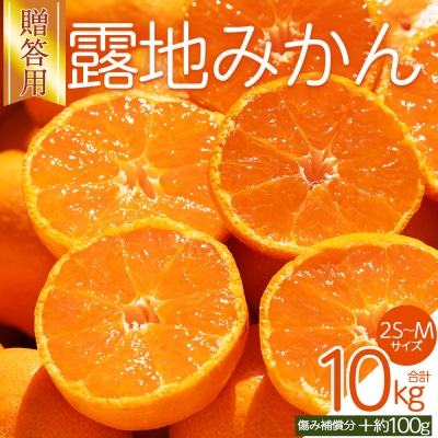 【先行受付】みかん 贈答用 2S-M 10kg 傷み補償分 +100g 人気 小玉 om-0006