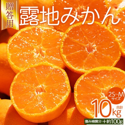 【先行受付】みかん 贈答用 2S-M 10kg 傷み補償分 +100g 人気 小玉 om-0006