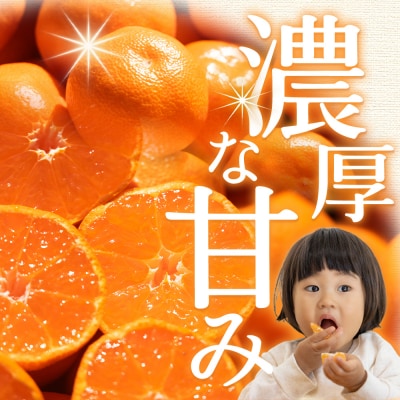 【先行受付】みかん 2回定期便 訳あり 2S-M 3kg 傷み補償分 +100g Wom-0007