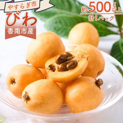 【先行受付】びわ 1パック 約500g以上 10～15個入 香南市産 yr-0114