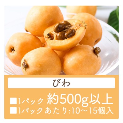 【先行受付】びわ 1パック 約500g以上 10～15個入 香南市産 yr-0114