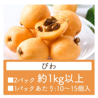 【先行受付】びわ 2パック 約1kg以上 香南市産 yr-0115