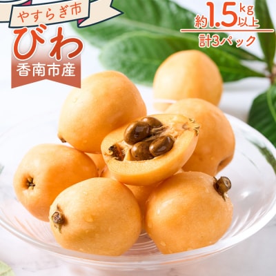 【先行受付】びわ 3パック 約1.5kg以上 香南市産 フルーツ yr-0116