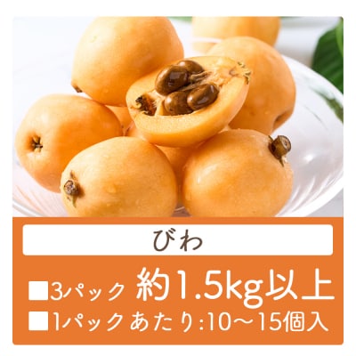 【先行受付】びわ 3パック 約1.5kg以上 香南市産 フルーツ yr-0116