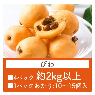 【先行受付】びわ 4パック 約2kg以上 香南市産 フルーツ yr-0117