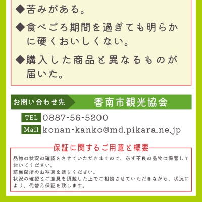 【2回定期便】一果相伝 青肉メロン 赤肉メロン 家庭用 1玉 交互にお届け Wtn-0047