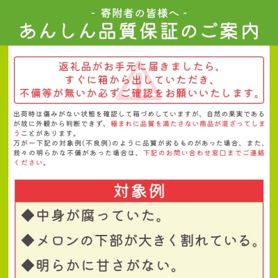 【4回定期便】一果相伝 青肉メロン 赤肉メロン 家庭用 1玉 交互にお届け Wtn-0048