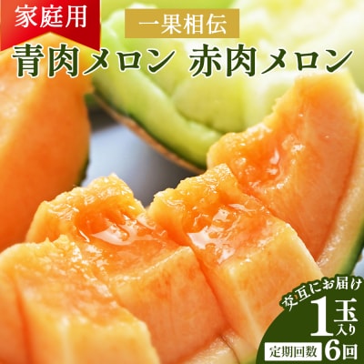 【6回定期便】一果相伝 青肉メロン 赤肉メロン 家庭用 1玉 交互にお届け Wtn-0049