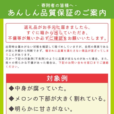 【6回定期便】一果相伝 青肉メロン 赤肉メロン 家庭用 1玉 交互にお届け Wtn-0049