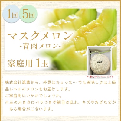 【8回定期便】メロン堪能定期便 Wtn-0055