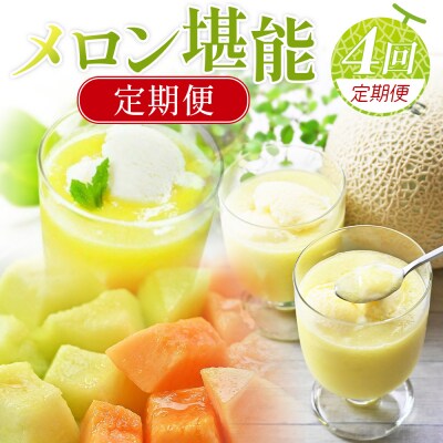 【4回定期便】メロン堪能定期便 Wtn-0054