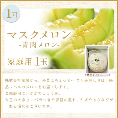 【4回定期便】メロン堪能定期便 Wtn-0054