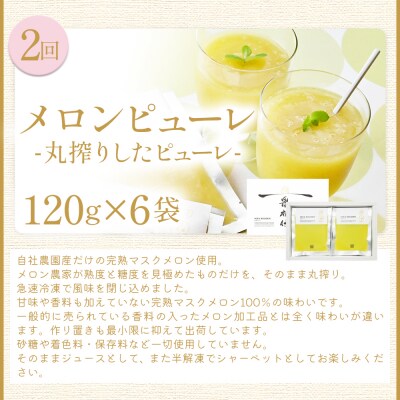 【4回定期便】メロン堪能定期便 Wtn-0054
