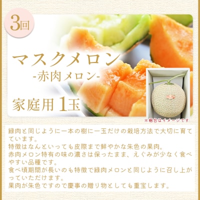 【4回定期便】メロン堪能定期便 Wtn-0054