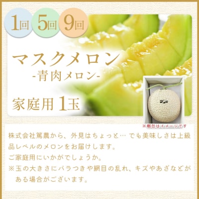 【12回定期便】メロン堪能定期便 Wtn-0056