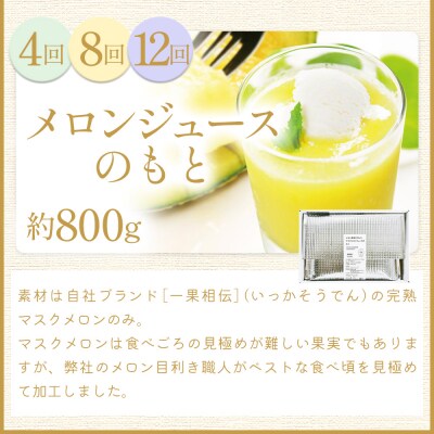 【12回定期便】メロン堪能定期便 Wtn-0056
