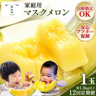 【12回定期便】一果相伝マスクメロン 家庭用 1玉入り Wtn-0051