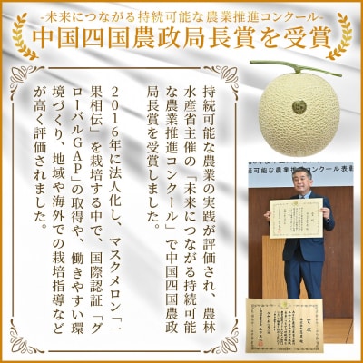 【12回定期便】一果相伝マスクメロン 家庭用 1玉入り Wtn-0051