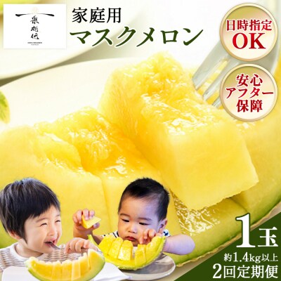 メロン 定期便 2回 1玉 家庭用 訳あり 青肉 Wtn-0057