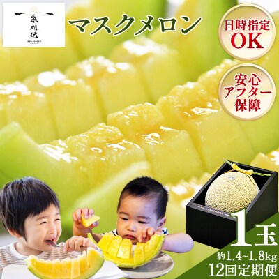 【12回定期便】一果相伝マスクメロン 1玉入り 贈答用 Wtn-0052