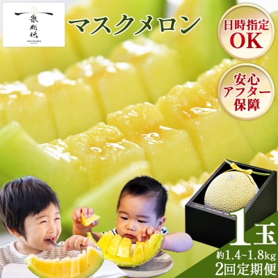 【2回定期便】 一果相伝マスクメロン 1玉 贈答用 Wtn-0058
