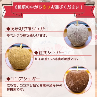 tuctuc りんご飴 6種類から選べる3本セット tt-0015