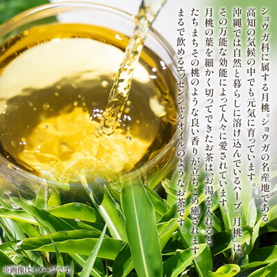 さわやか月桃茶 36袋 と 純黒糖 4パック セット gr-0141