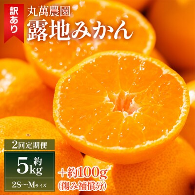 【2回定期便】露地みかん(2S～Mサイズ) 5kg 家庭用 丸萬農園 Wmn-0017