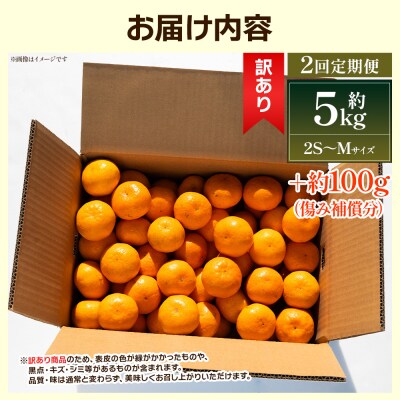 【2回定期便】露地みかん(2S～Mサイズ) 5kg 家庭用 丸萬農園 Wmn-0017