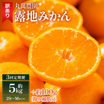 【3回定期便】露地みかん(2S～Mサイズ) 5kg 家庭用 丸萬農園 Wmn-0018