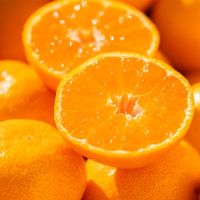 【3回定期便】露地みかん(2S～Mサイズ) 5kg 家庭用 丸萬農園 Wmn-0018