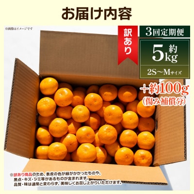 【3回定期便】露地みかん(2S～Mサイズ) 5kg 家庭用 丸萬農園 Wmn-0018