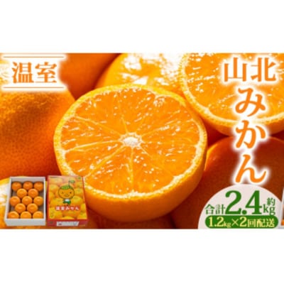 【2回定期便】山北温室みかん1.2kg Wku-0066