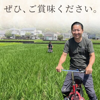 【令和8年8月下旬発送】特別栽培米 ミルキークイーン 5kg sr-0003