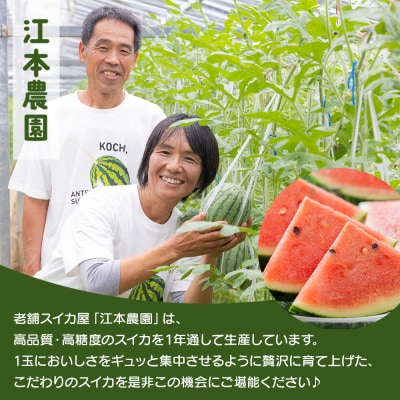 【数量限定】江本農園 初夏 アンテナスイカ 2玉 em-0034