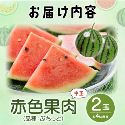 【数量限定】江本農園 初夏 アンテナスイカ 2玉 em-0034