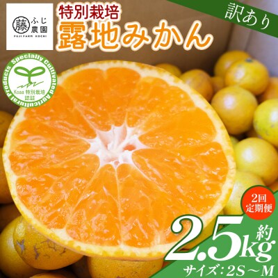 【2回定期便】ふじ農園の露地みかん 訳あり品 2.5kg(2S～M) Wfn-0019